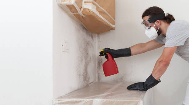 Professional Attic Mold Remediation technician working in York, PA