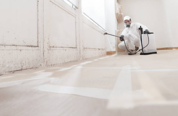 24/7 Emergency Attic Mold Remediation experts in York, PA