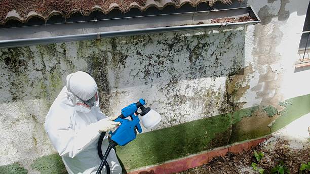 Top rated local Attic Mold Remediation specialists in York, PA